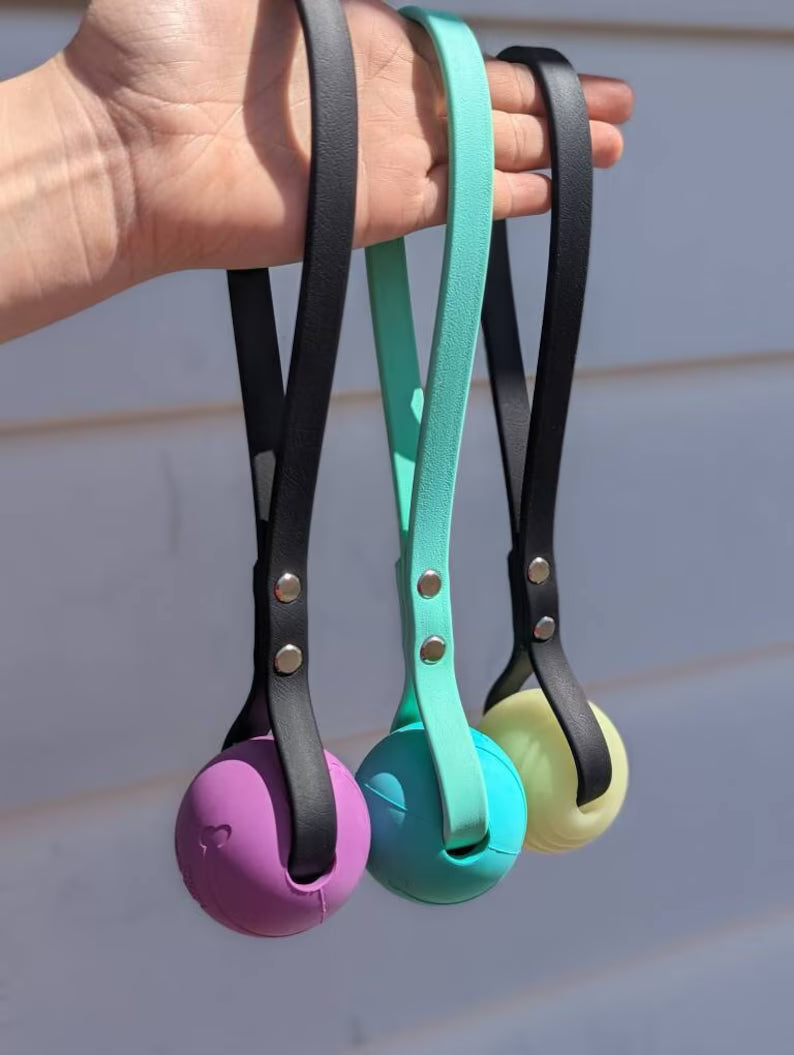 Reward Ball With BioThane Handle