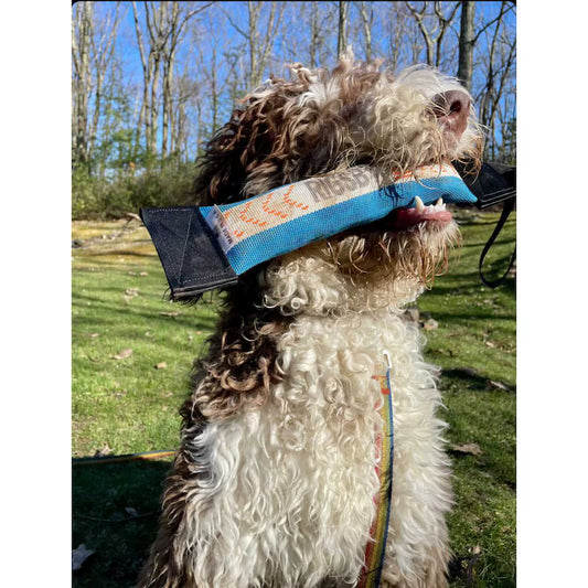 Extreme Durable Fire Hose Dog Toy: Dog Toys, Dog Toy Personalized