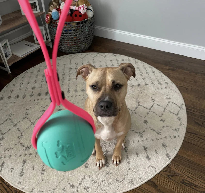 Reward Ball With BioThane Handle