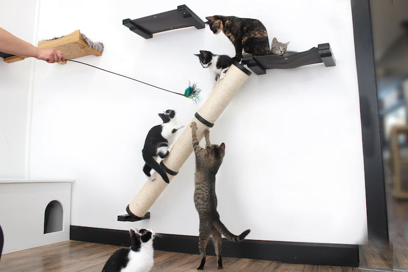 Cat Scratching Pole, Wall Mounted Cat Furniture, Angled Pole, Cat Wall Scratcher