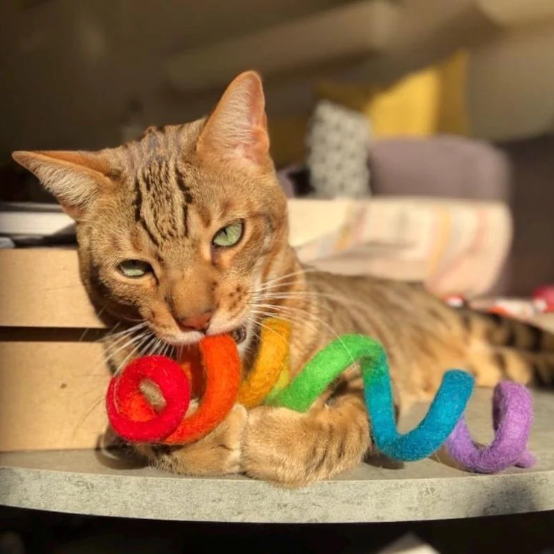 Wool Spiral Cat Toys