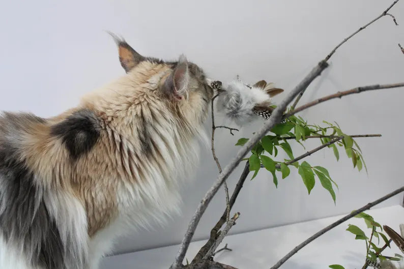 Natural Rabbit Fur and Feathers Cat Toy "Bird Crazy" Interactive Bird Lures Realistic